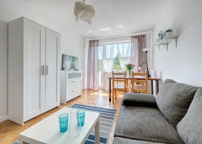 Good Day * סופוט